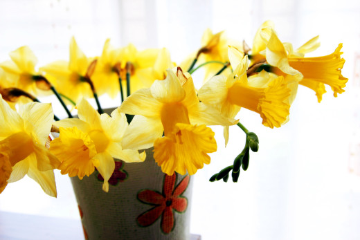 798171 (a): :2500x1667